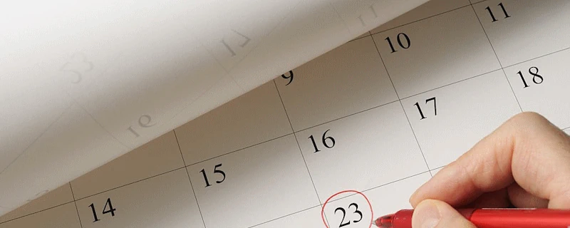 Project Schedule